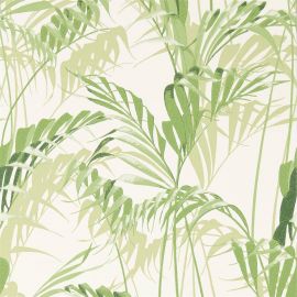 Sanderson Wallpaper Palm House Botanical Green