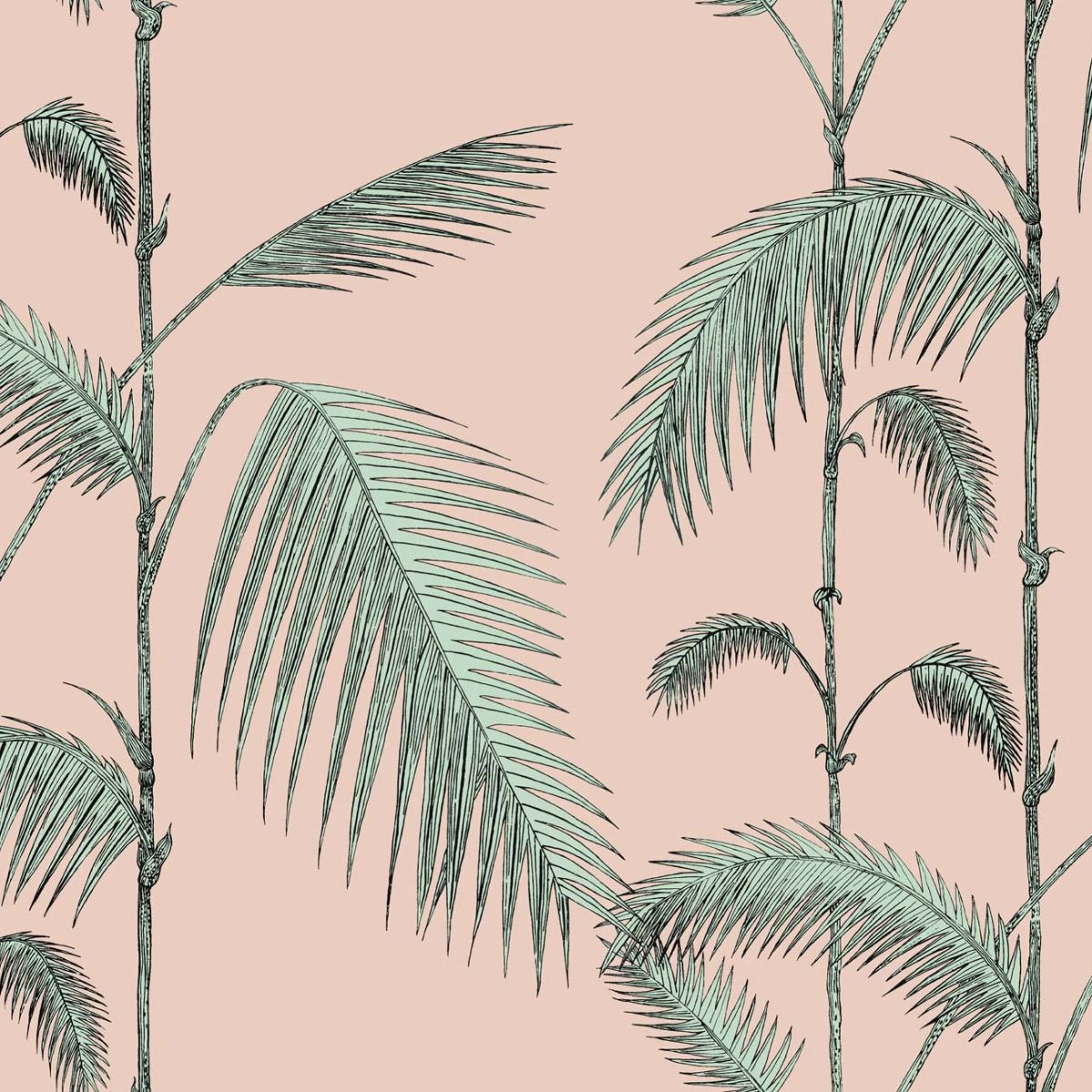 Palmera Cubana Pink Palm Tree Wallpaper  MINDTHEGAP